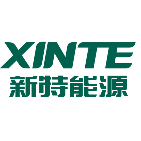 新特能源股份有限公司